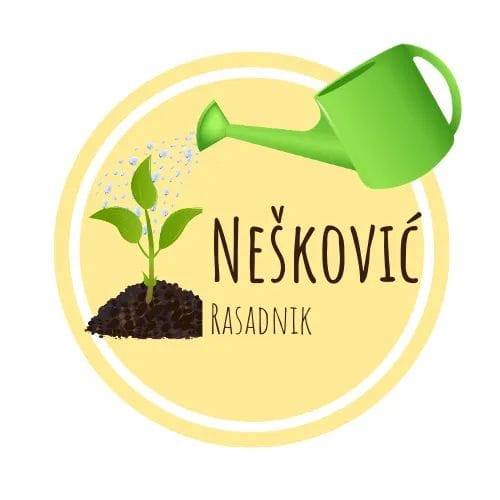 neskovic